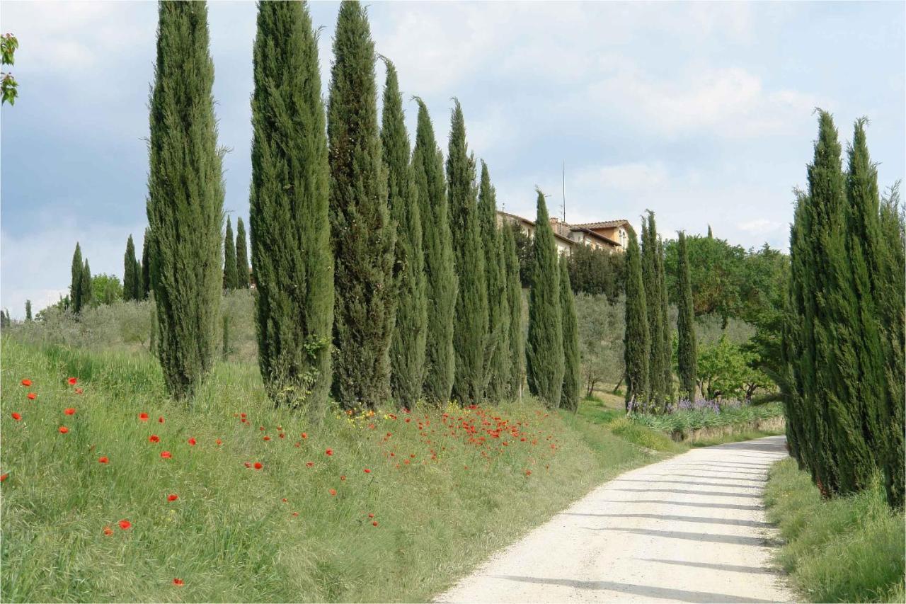 Ginestra Apartment Poggibonsi Exterior photo
